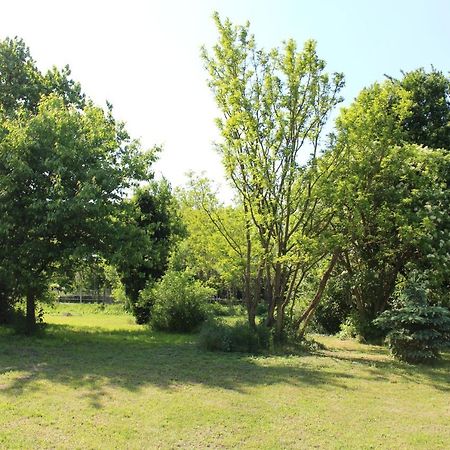 Berbaltavar Axtburg Apartments מראה חיצוני תמונה