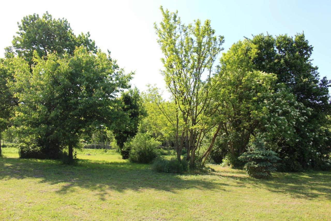 Berbaltavar Axtburg Apartments מראה חיצוני תמונה